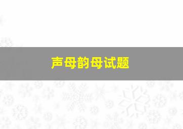 声母韵母试题