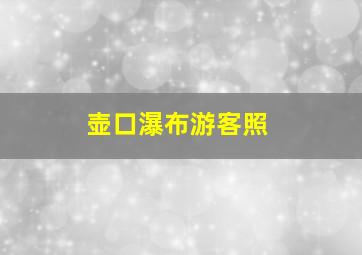 壶口瀑布游客照