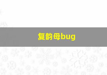 复韵母bug