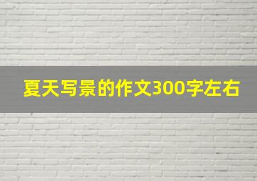 夏天写景的作文300字左右