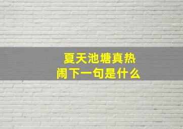 夏天池塘真热闹下一句是什么