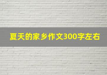 夏天的家乡作文300字左右