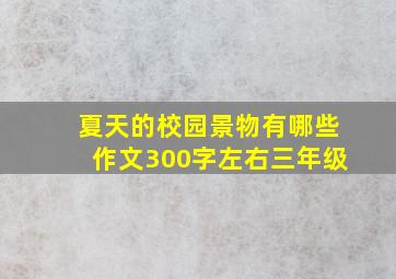 夏天的校园景物有哪些作文300字左右三年级