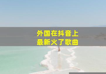 外国在抖音上最新火了歌曲