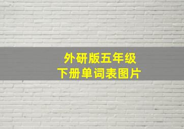 外研版五年级下册单词表图片