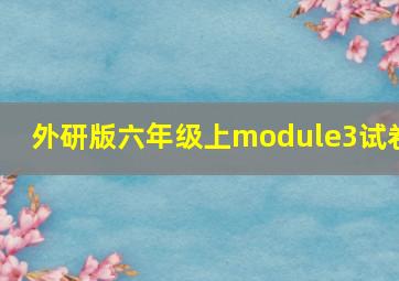 外研版六年级上module3试卷