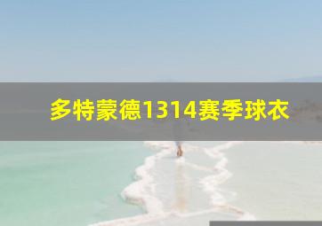 多特蒙德1314赛季球衣