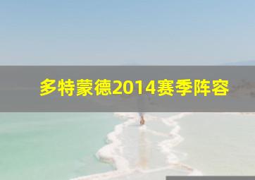 多特蒙德2014赛季阵容