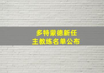 多特蒙德新任主教练名单公布