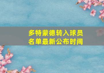 多特蒙德转入球员名单最新公布时间