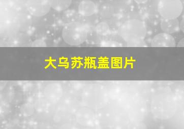 大乌苏瓶盖图片