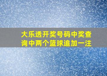 大乐透开奖号码中奖查询中两个篮球追加一注