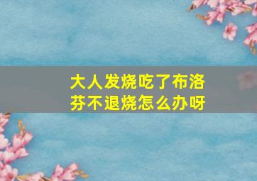 大人发烧吃了布洛芬不退烧怎么办呀