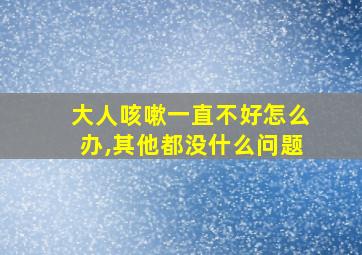 大人咳嗽一直不好怎么办,其他都没什么问题