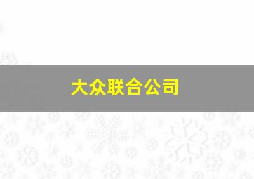 大众联合公司