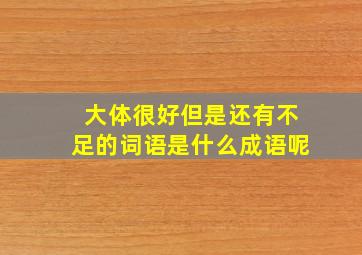 大体很好但是还有不足的词语是什么成语呢