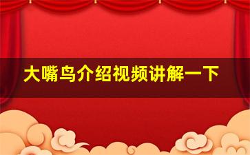 大嘴鸟介绍视频讲解一下