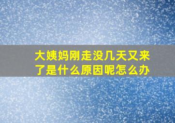 大姨妈刚走没几天又来了是什么原因呢怎么办