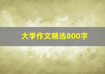 大学作文精选800字