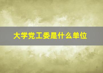 大学党工委是什么单位