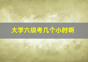 大学六级考几个小时啊