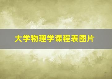 大学物理学课程表图片