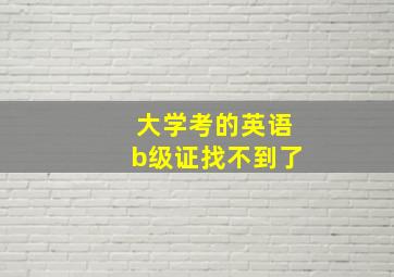 大学考的英语b级证找不到了