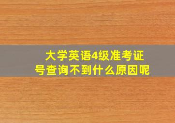 大学英语4级准考证号查询不到什么原因呢