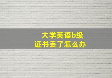 大学英语b级证书丢了怎么办