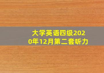 大学英语四级2020年12月第二套听力