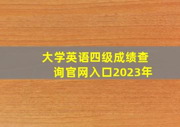 大学英语四级成绩查询官网入口2023年