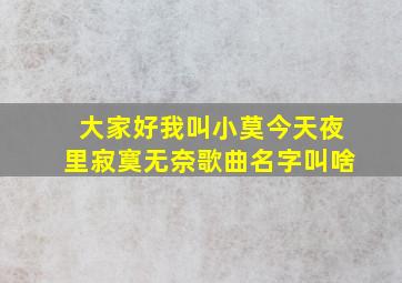 大家好我叫小莫今天夜里寂寞无奈歌曲名字叫啥