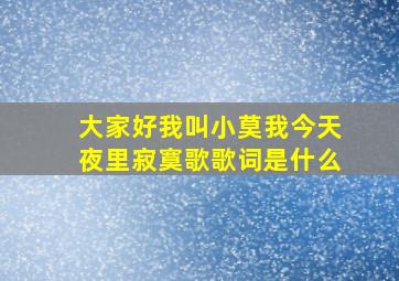 大家好我叫小莫我今天夜里寂寞歌歌词是什么