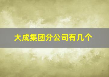 大成集团分公司有几个