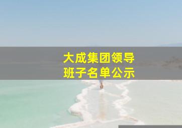 大成集团领导班子名单公示