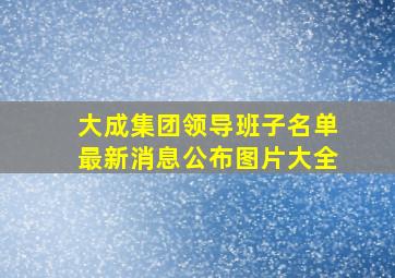 大成集团领导班子名单最新消息公布图片大全