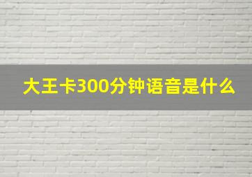 大王卡300分钟语音是什么