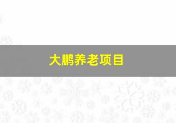 大鹏养老项目