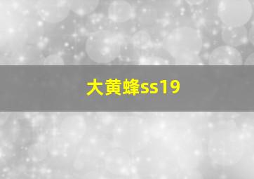 大黄蜂ss19