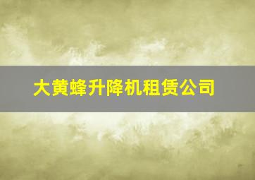 大黄蜂升降机租赁公司