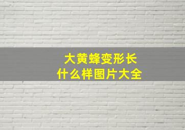 大黄蜂变形长什么样图片大全