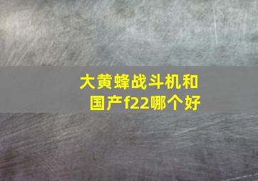 大黄蜂战斗机和国产f22哪个好