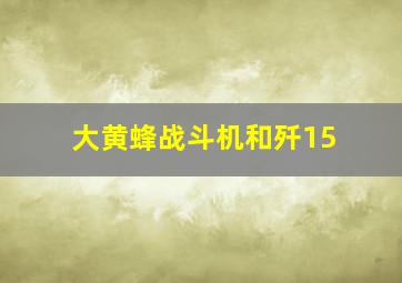 大黄蜂战斗机和歼15