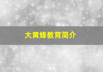 大黄蜂教育简介