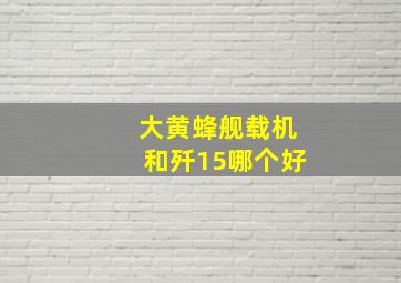 大黄蜂舰载机和歼15哪个好