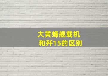 大黄蜂舰载机和歼15的区别