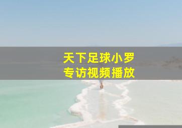 天下足球小罗专访视频播放