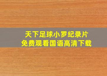 天下足球小罗纪录片免费观看国语高清下载