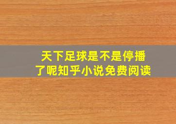 天下足球是不是停播了呢知乎小说免费阅读