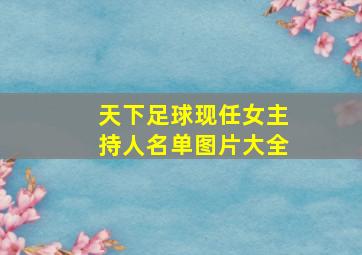 天下足球现任女主持人名单图片大全